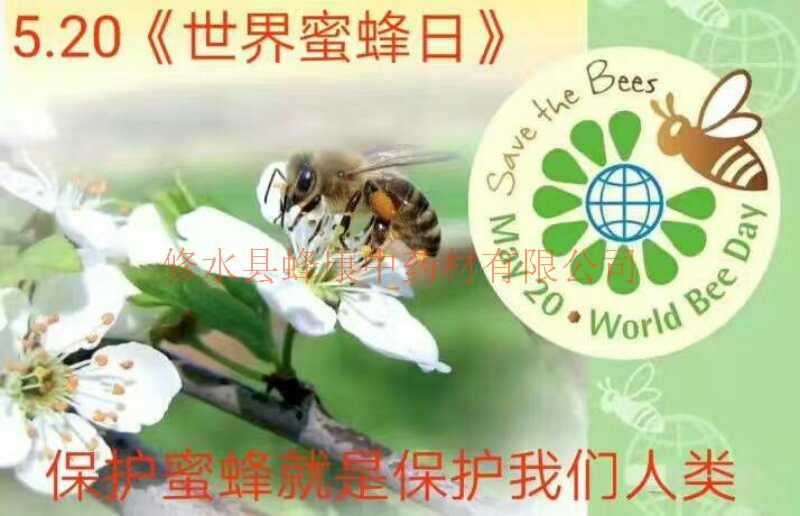 首届世界蜜蜂日 广州举办“关爱蜜蜂 保护地球”活动
